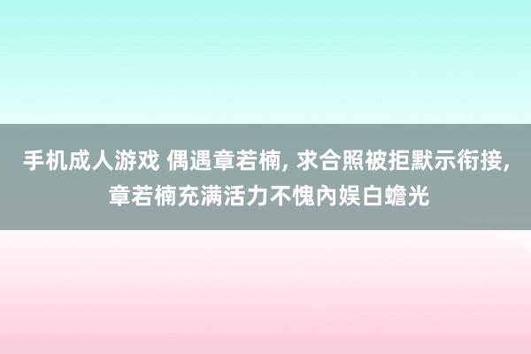 手机成人游戏 偶遇章若楠, 求合照被拒默示衔接, 章若楠充满活力不愧內娱白蟾光