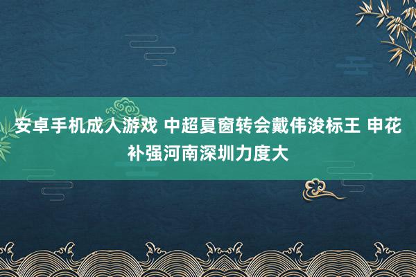 安卓手机成人游戏 中超夏窗转会戴伟浚标王 申花补强河南深圳力度大