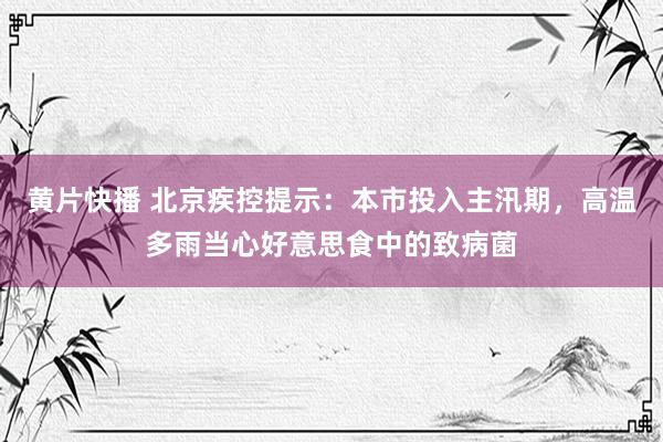 黄片快播 北京疾控提示：本市投入主汛期，高温多雨当心好意思食中的致病菌