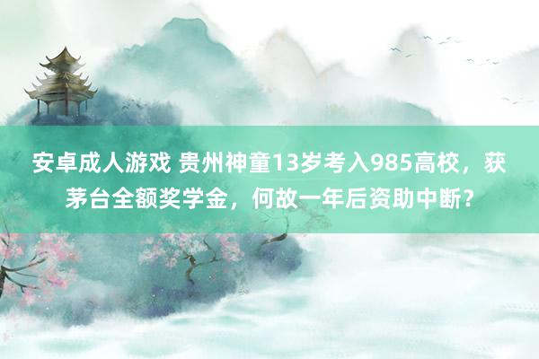 安卓成人游戏 贵州神童13岁考入985高校，获茅台全额奖学金，何故一年后资助中断？