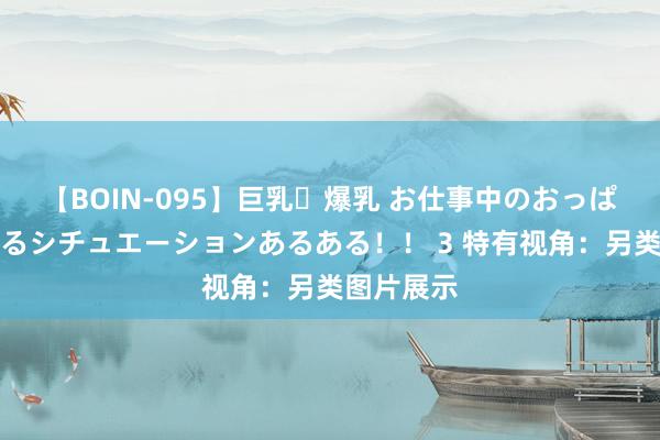 【BOIN-095】巨乳・爆乳 お仕事中のおっぱいがあたるシチュエーションあるある！！ 3 特有视角：另类图片展示