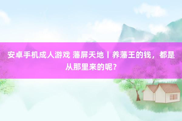 安卓手机成人游戏 藩屏天地丨养藩王的钱，都是从那里来的呢？