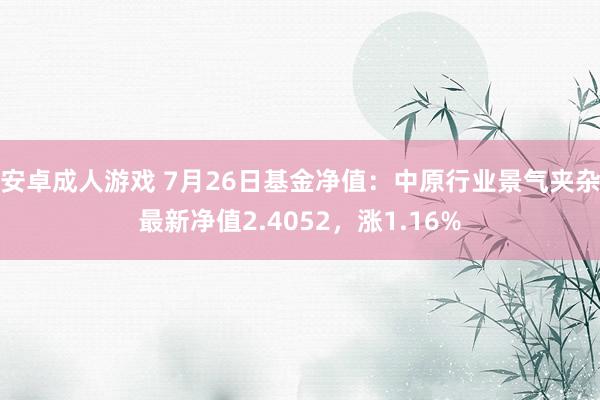 安卓成人游戏 7月26日基金净值：中原行业景气夹杂最新净值2.4052，涨1.16%