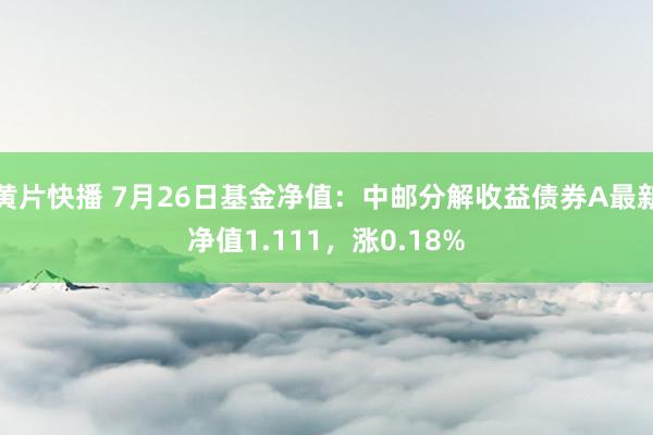 黄片快播 7月26日基金净值：中邮分解收益债券A最新净值1.111，涨0.18%