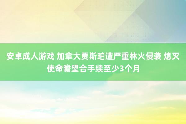 安卓成人游戏 加拿大贾斯珀遭严重林火侵袭 熄灭使命瞻望合手续至少3个月