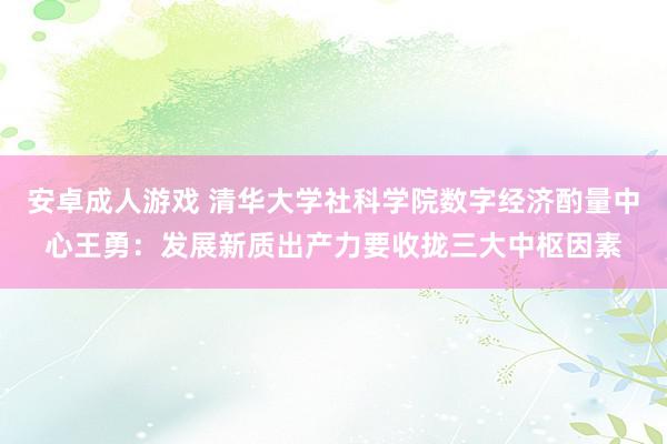 安卓成人游戏 清华大学社科学院数字经济酌量中心王勇：发展新质出产力要收拢三大中枢因素