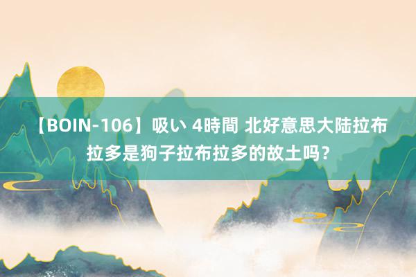 【BOIN-106】吸い 4時間 北好意思大陆拉布拉多是狗子拉布拉多的故土吗？