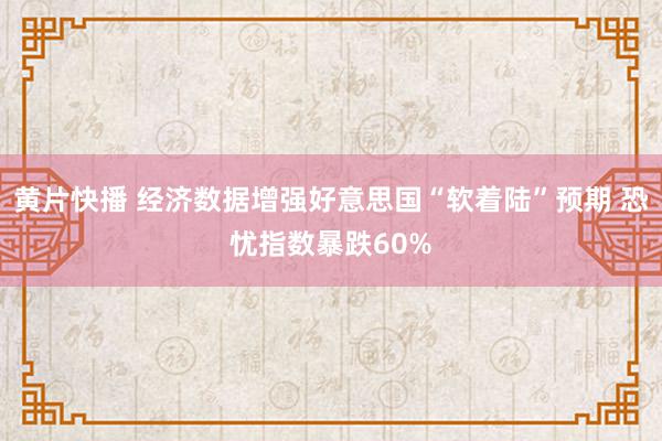 黄片快播 经济数据增强好意思国“软着陆”预期 恐忧指数暴跌60%