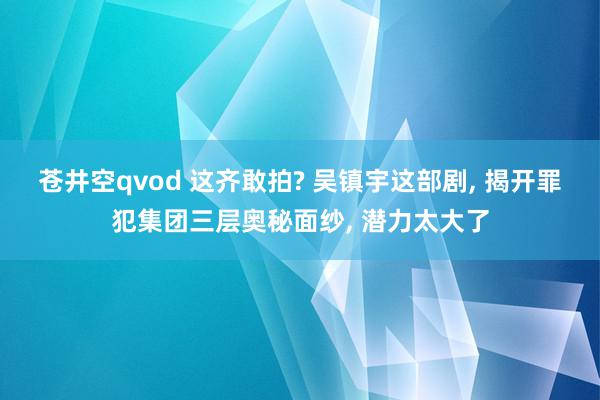 苍井空qvod 这齐敢拍? 吴镇宇这部剧, 揭开罪犯集团三层奥秘面纱, 潜力太大了