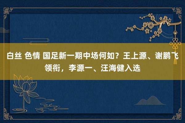 白丝 色情 国足新一期中场何如？王上源、谢鹏飞领衔，李源一、汪海健入选