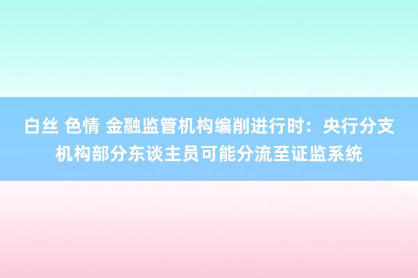 白丝 色情 金融监管机构编削进行时：央行分支机构部分东谈主员可能分流至证监系统