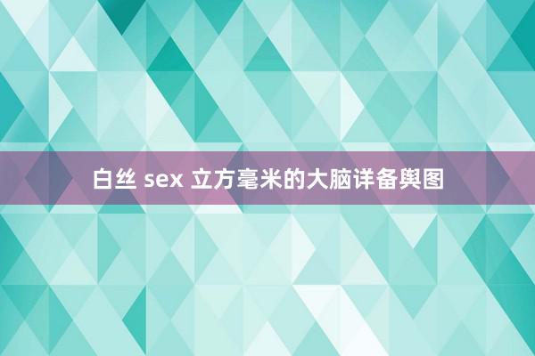 白丝 sex 立方毫米的大脑详备舆图