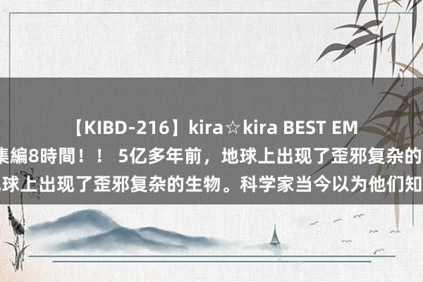 【KIBD-216】kira☆kira BEST EMIRI-中出し性交20発超え-総集編8時間！！ 5亿多年前，地球上出现了歪邪复杂的生物。科学家当今以为他们知说念原因