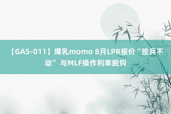 【GAS-011】爆乳momo 8月LPR报价“按兵不动” 与MLF操作利率脱钩