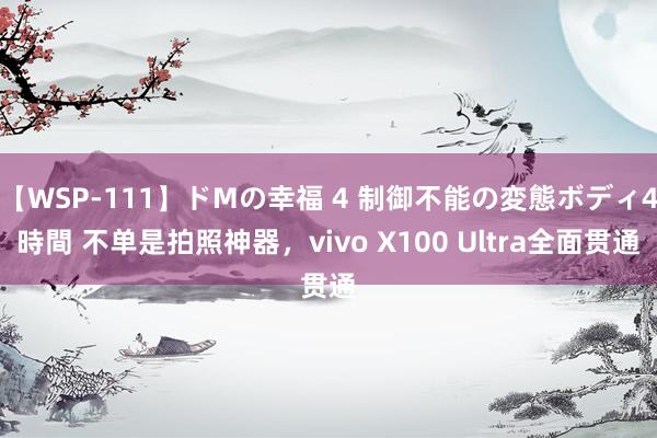 【WSP-111】ドMの幸福 4 制御不能の変態ボディ4時間 不单是拍照神器，vivo X100 Ultra全面贯通