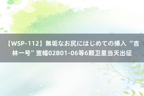 【WSP-112】無垢なお尻にはじめての挿入 “吉林一号”宽幅02B01-06等6颗卫星当天出征