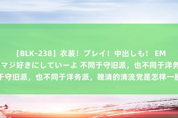 【BLK-238】衣装！プレイ！中出しも！ EMIRIのつぶやき指令で私をマジ好きにしていーよ 不同于守旧派，也不同于洋务派，晚清的清流党是怎样一股势力