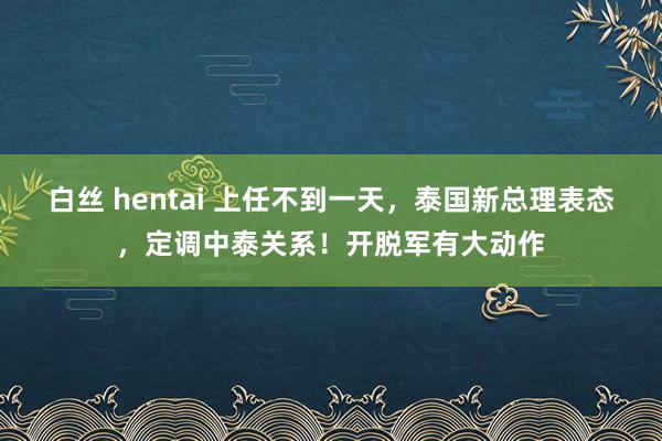 白丝 hentai 上任不到一天，泰国新总理表态，定调中泰关系！开脱军有大动作