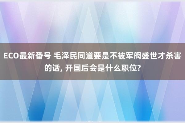 ECO最新番号 毛泽民同道要是不被军阀盛世才杀害的话, 开国后会是什么职位?